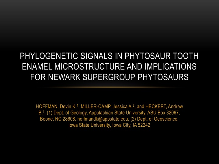 Phylogenetic Signals in Phytosaur Tooth Enamel Microstructure