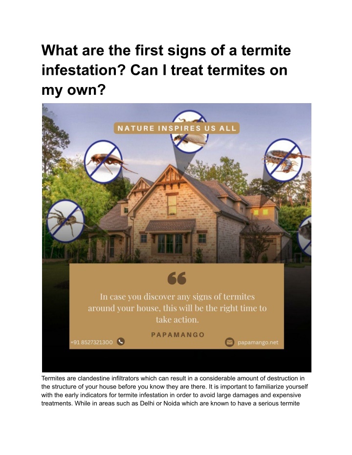 what are the first signs of a termite infestation n.w