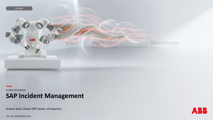 SAP Incident Management Overview