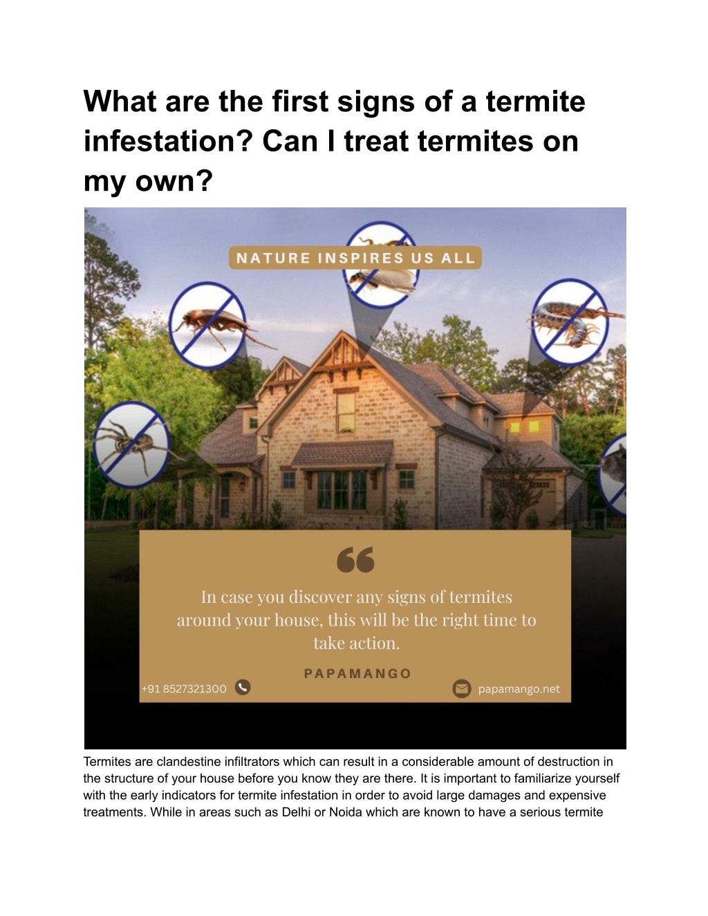 what are the first signs of a termite infestation l.w