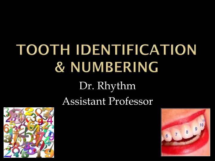 Dental Anatomy: Tooth Numbering Systems in Clinical Practice