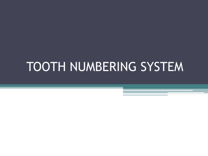 Tooth Numbering Systems in Dentistry