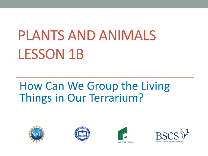 Grouping of Living Things in a Terrarium