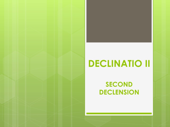 Nouns of II Declension in Latin Grammar