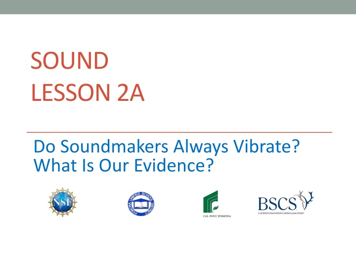 Soundmakers: Do They Always Vibrate?