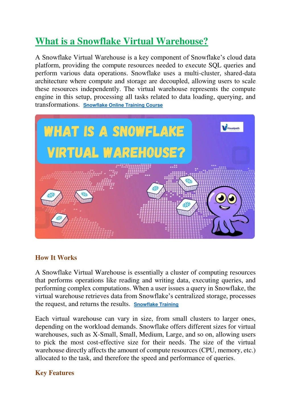 what is a snowflake virtual warehouse l.w