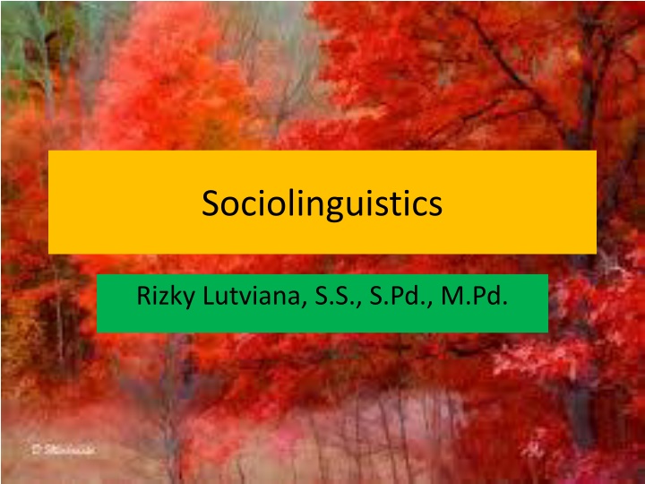 Sociolinguistics: Language Variation and Social Factors