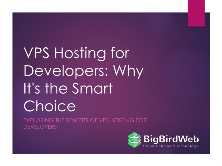 vps hosting for developers why it s the smart n.w
