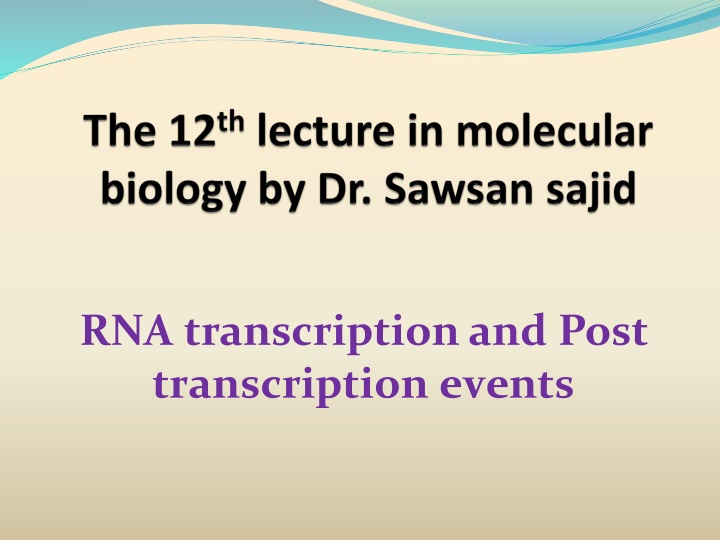 Differences Between DNA Replication and RNA Transcription