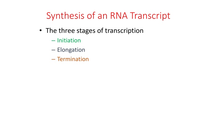Overview of RNA Transcription Process