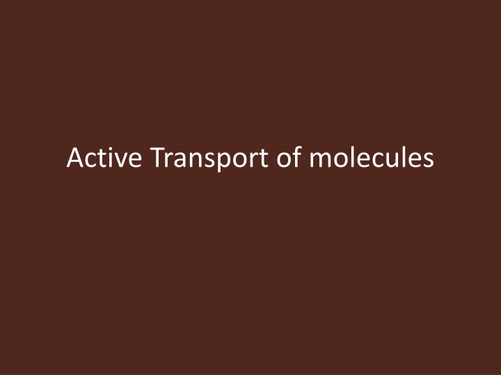 Active Transport of Molecules: Driven by ATP Hydrolysis