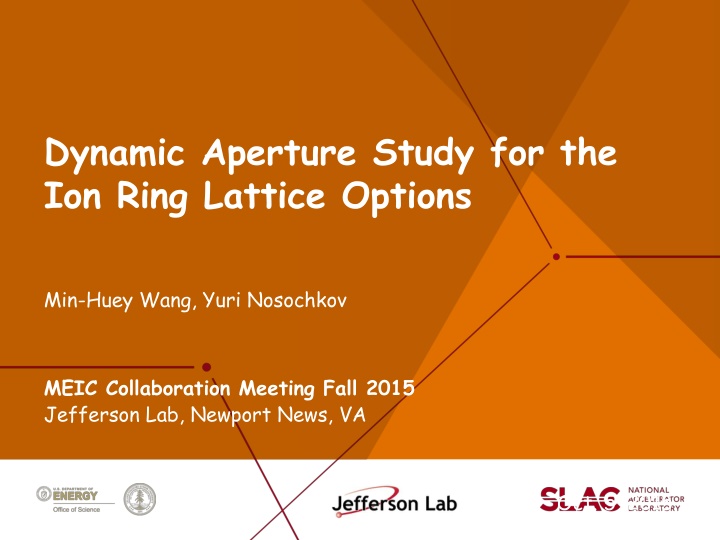 Dynamic Aperture Study for Ion Ring Lattice Optimization