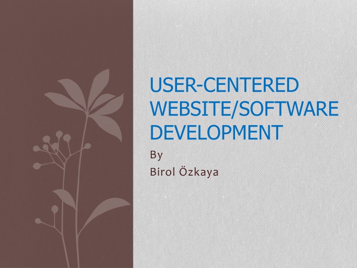 Principles and Schemes of User-Centered Website Development