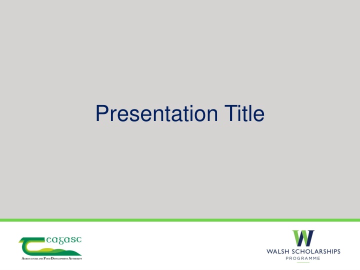 Modern Presentation Design Showcase