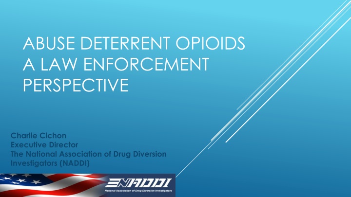Opioid Abuse Deterrent Strategies: Law Enforcement Insights