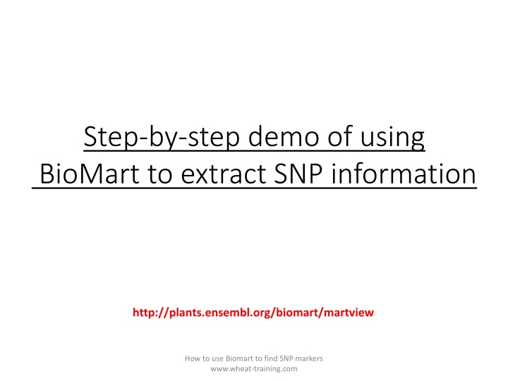 Step-by-Step Guide for Using BioMart to Extract SNP Information