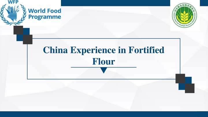 Wheat Flour Fortification and Processing Technology in China