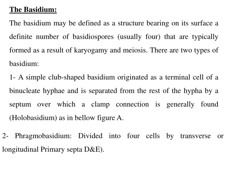 Basidium: Structure and Classification of Basidiomycetes