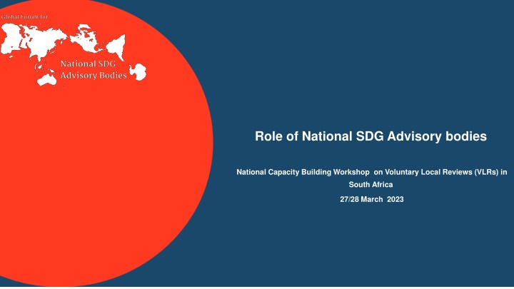 Role of National SDG Advisory bodies