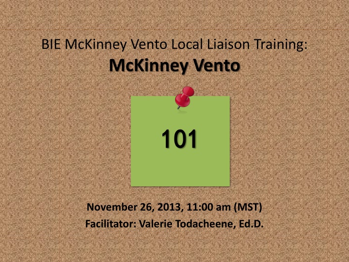 McKinney-Vento Homeless Assistance Program