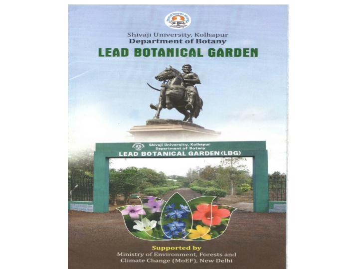 Overview of Lead Botanical Garden: History, Sections, Events, and Herbarium