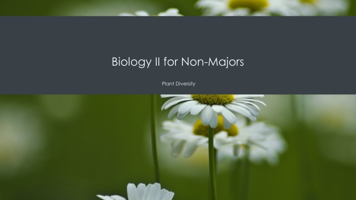 Plant Diversity through Evolutionary Traits