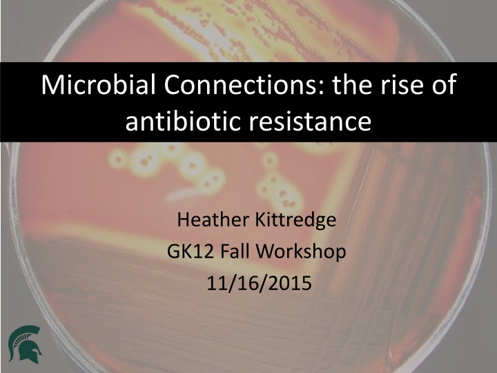 Antibiotic Resistance: A Comprehensive Overview