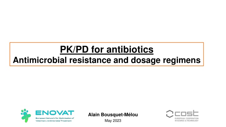Optimizing Antibiotic Therapy for Pathogenic Bacteria and Resistance