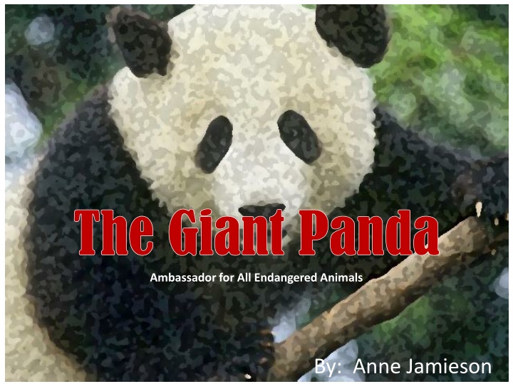 The Giant Panda: Ambassador for Endangered Animals
