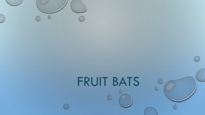 Insights into Fruit Bats: Behavior, Growth, and Senses
