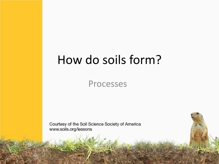 Soil Formation Processes and Changes Over Time