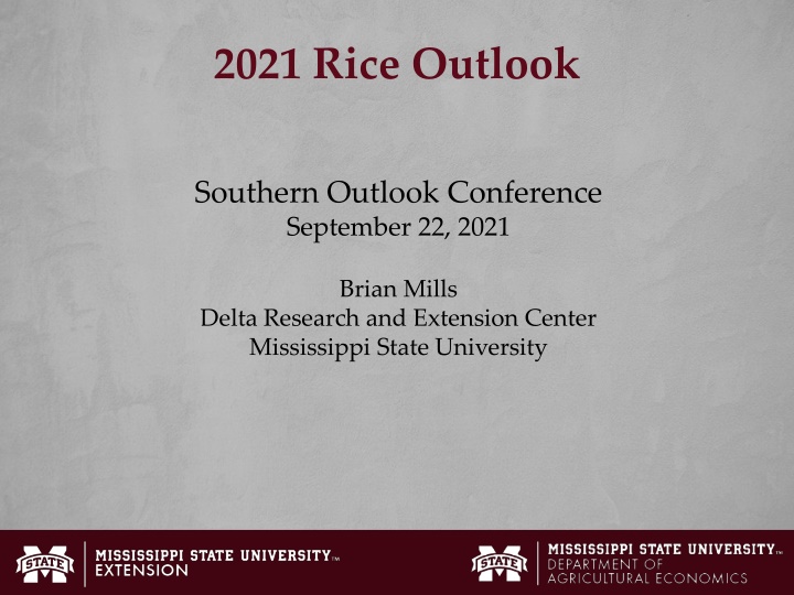 Insights into U.S. Rice Production and Market Trends