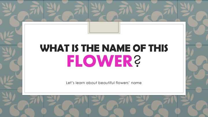 Discover Beautiful Flowers and Their Names