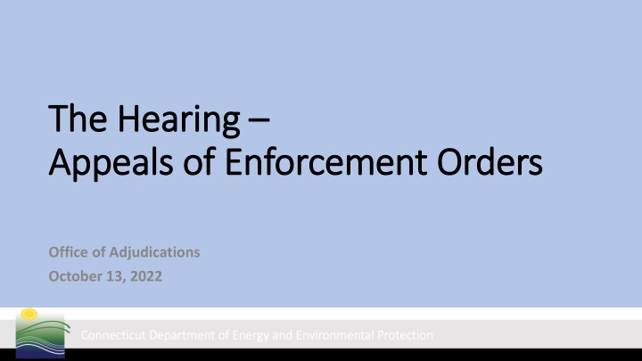 Legal Hearing Procedures and Witness Preparation Guide