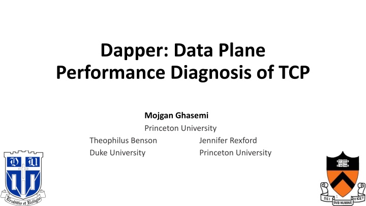 TCP Data Plane Performance Diagnosis Research