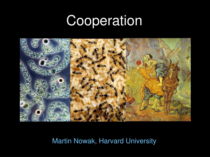 Evolutionary Dynamics of Cooperation by Martin Nowak at Harvard University