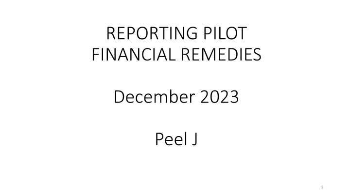 Reporting Pilot Financial Remedies
