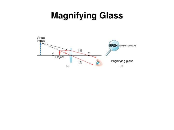 The Optics of Vision: From Magnifying Glasses to Eyeball Anatomy