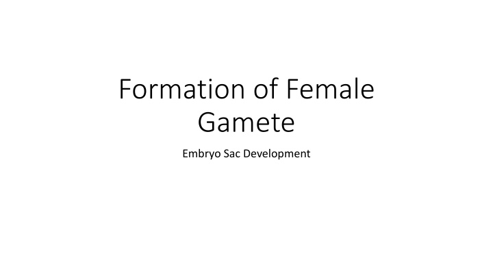 Development of Female Gamete and Embryo Sac in Plant Reproduction