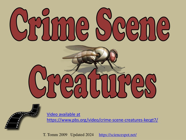 Crime Scene Investigations Through Animal Evidence