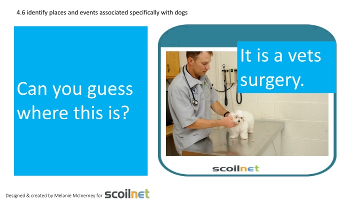 Places and Events Associated with Dogs: Vet Surgery, Dog Show, Farm, Beach, Shelter, and Cafe