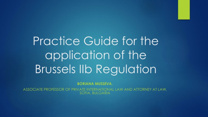 The Brussels IIb Regulation Practice Guide