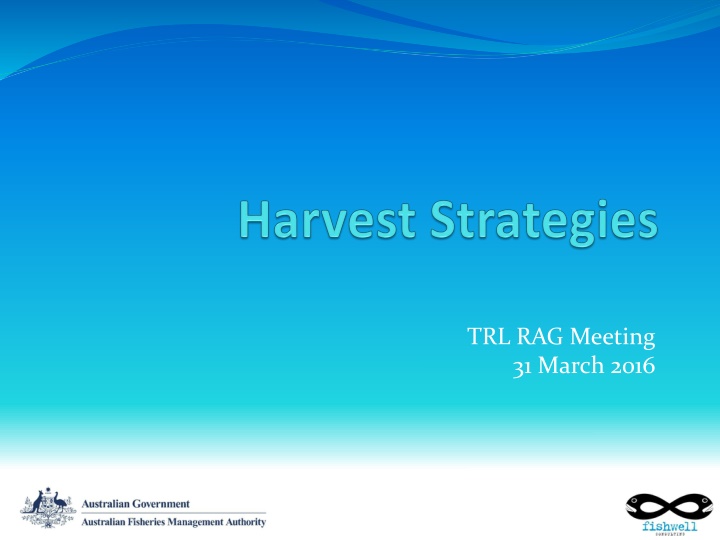 Harvest Strategy and Key Elements for Sustainable Fisheries