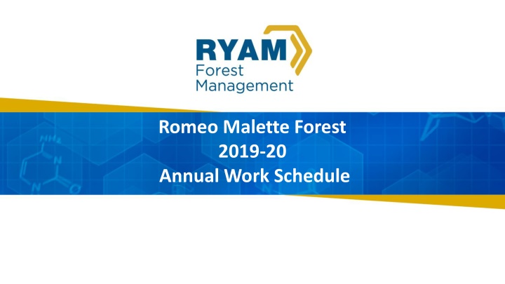 Romeo Malette Forest 2019-20 Annual Work Schedule Overview