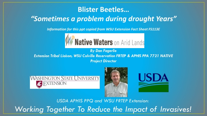 Blister Beetles and Livestock Toxicity: Impacts and Management