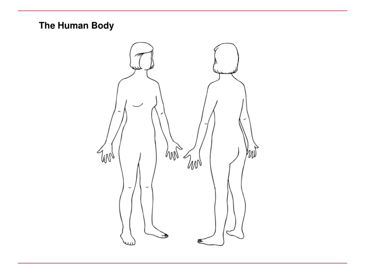 Comprehensive Guide to Human Body Systems, Conditions, and Treatments