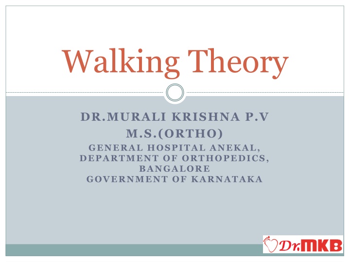 Decoding the Dynamics of Walking: An In-depth Exploration