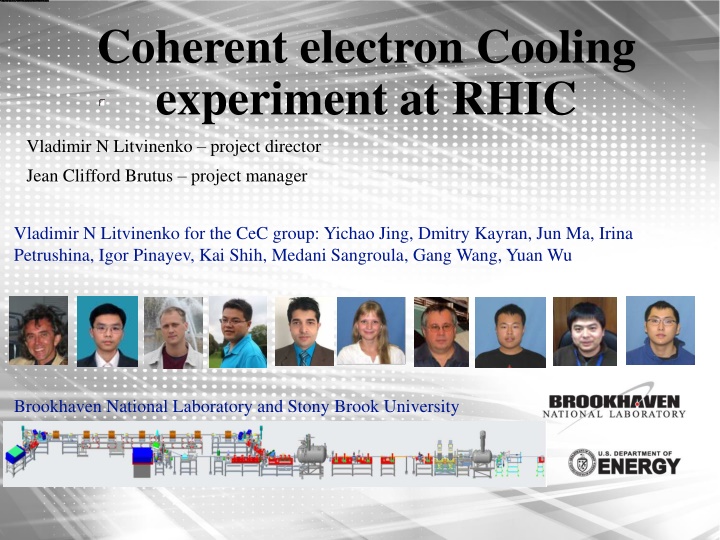 Coherent Electron Cooling Experiment at RHIC - Project Overview and Experimental Possibilities
