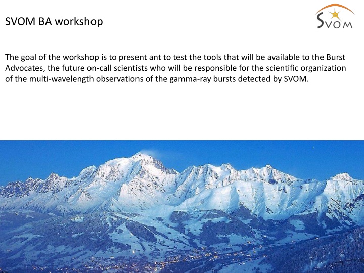 SVOM Burst Advocate Workshop Overview