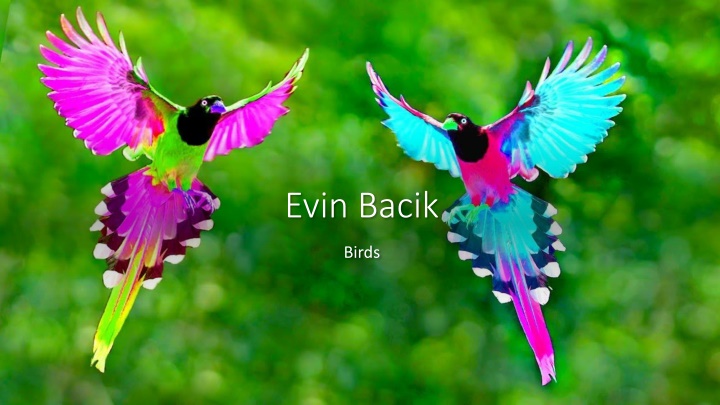 Fascinating Facts About Birds: From Egg-laying to Hunting Techniques